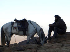 Morocco-Morocco-Magic of the Sahara